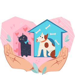 banniere-assur-animaux